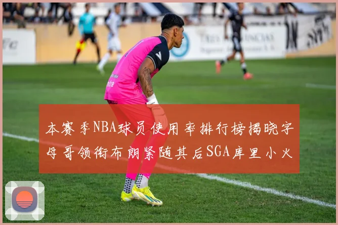 本赛季NBA球员使用率排行榜揭晓字母哥领衔布朗紧随其后SGA库里小火车紧追不舍