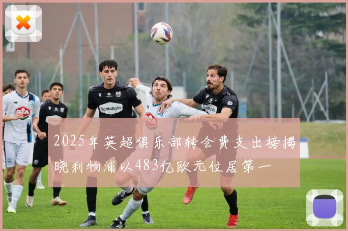 2025年英超俱乐部转会费支出榜揭晓利物浦以483亿欧元位居第一