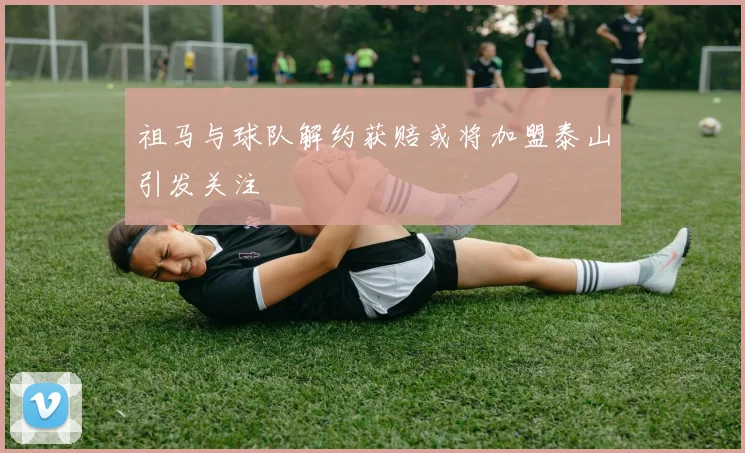 祖马与球队解约获赔或将加盟泰山引发关注