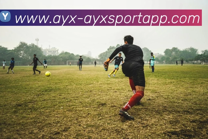 多媒体互动体验